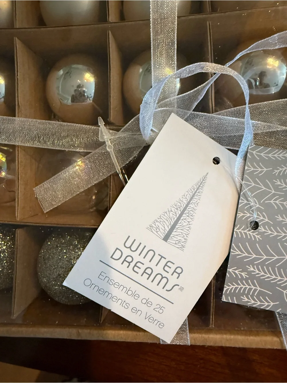 Pier 1 Silver and Iridescent Holiday Ornament Set